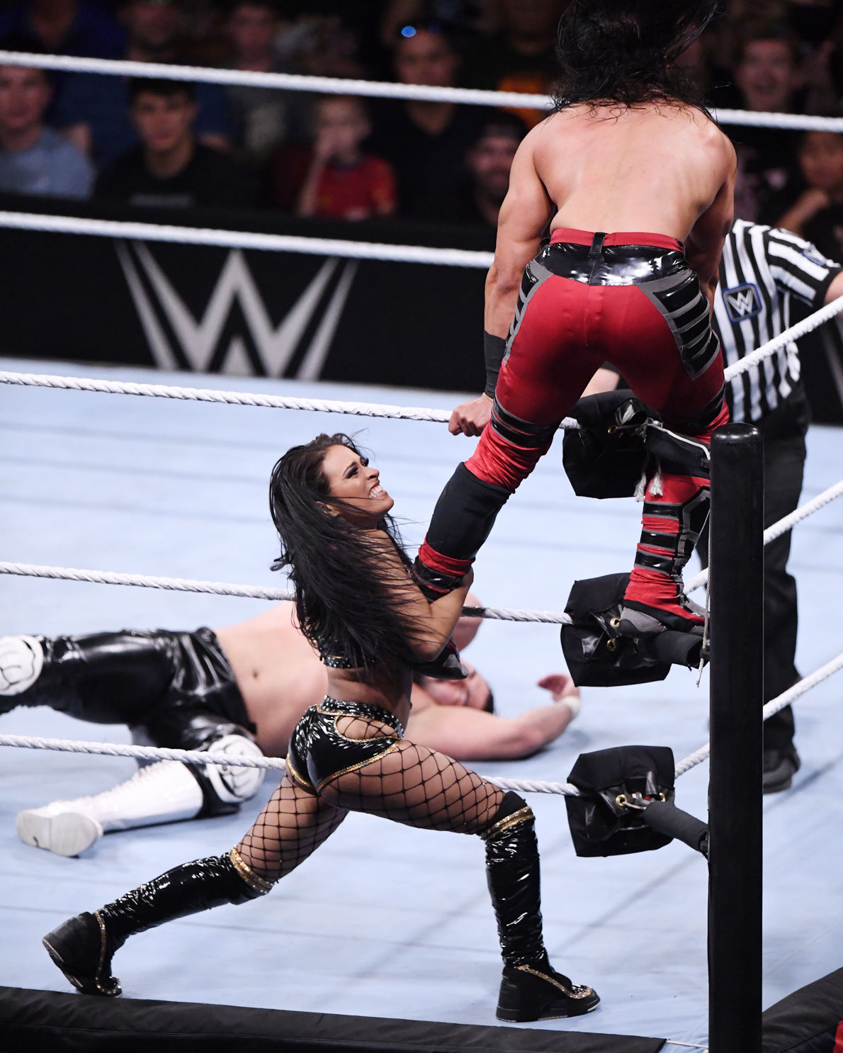 WWE at Reed Arena